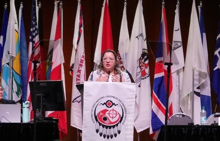 Child protection: AFN leaders vote against $47.8 billion deal | Child protection among Aboriginal people