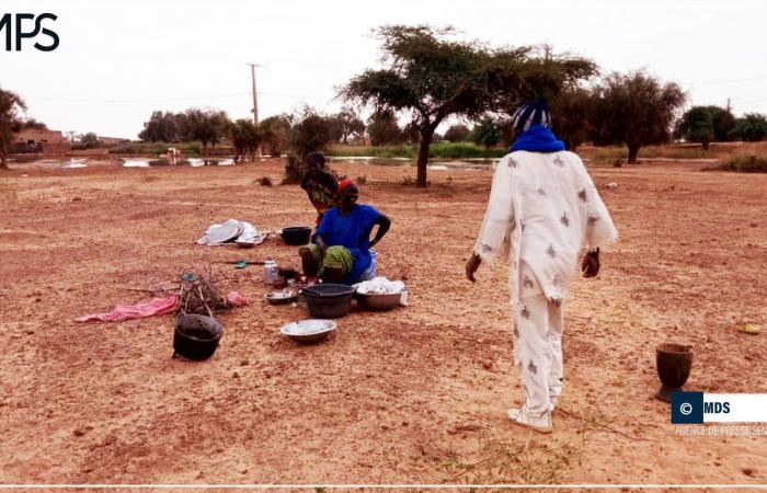 SENEGAL-CRUE-IMPACT / Floods in Bélli Diallo: affected populations in search of shelter – Senegalese press agency