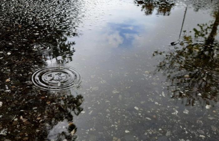 Rains and floods. Météo France places Tarn-et-Garonne on orange alert