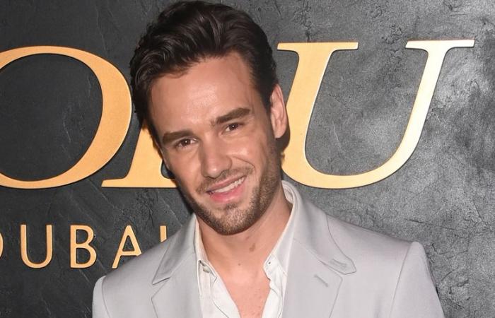 New Details From Liam Payne 911 Call Revealed, Including Claims About What Happened Leading Up To His Death | Liam Payne | Just Jared: Celebrity News and Gossip