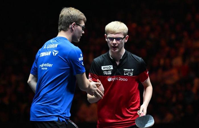 DIRECT. European Table Tennis Championships: Félix Lebrun goes ahead of his brother Alexis, follow the competition live