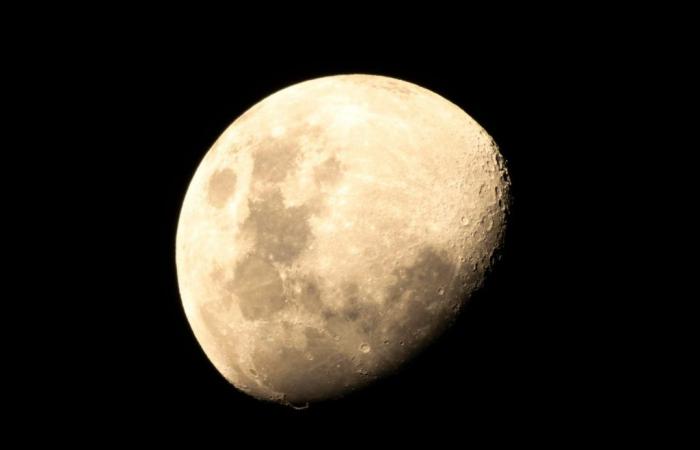 The Covid pandemic had a surprising effect on the Moon according to a scientific study