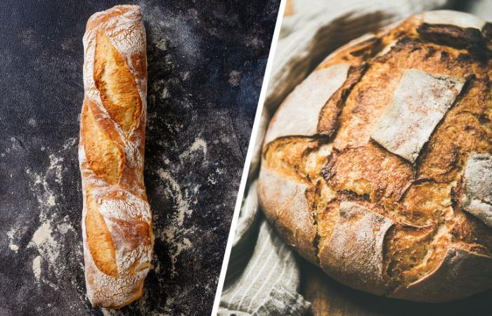 Wholemeal bread is actually worse than white bread