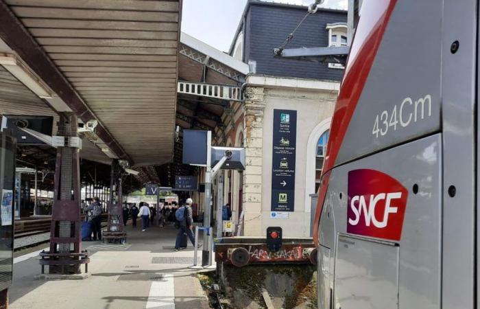 SNCF cuts several train lines near Toulouse