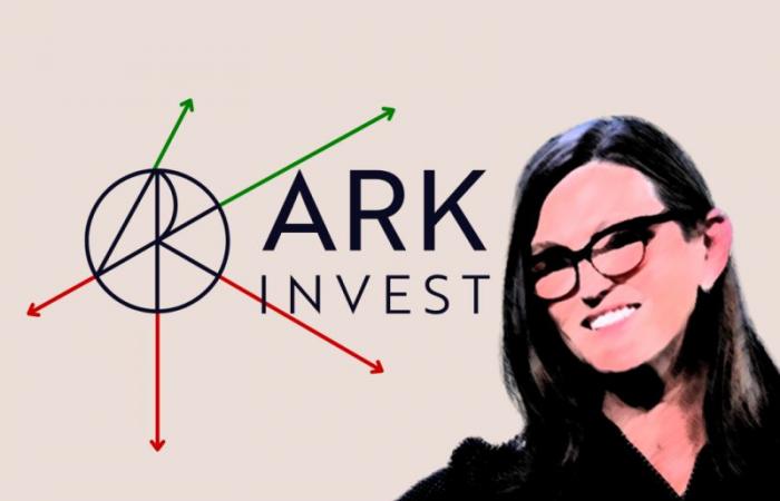 ETF: ARK Innovation towards a fourth year of losses?