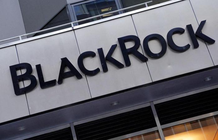 BlackRock accused of “misleading investors” with some of its “sustainable” investments