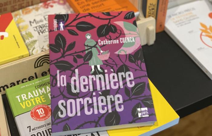 Comics, novels… in Nice, good advice from this city center bookstore