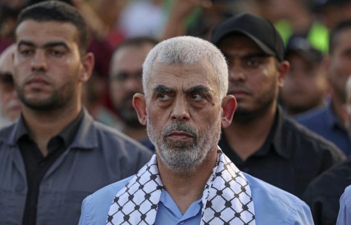 who was Yahya Sinouar, the leader of the terrorist group eliminated by Israel?