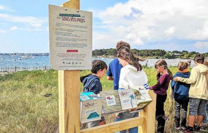 In Concarneau, what is the secret to the success of educational areas?