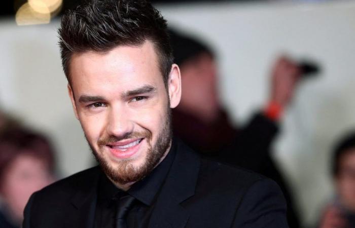 Did Liam Payne have any children?