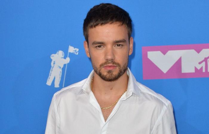 Death of Liam Payne: Argentine authorities have opened an investigation into his fatal fall