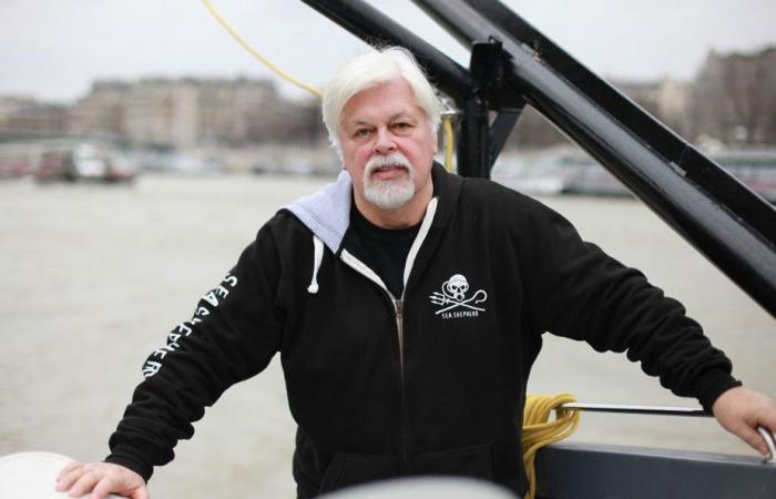 Political asylum by Paul Watson | The position of the French government “not decided”