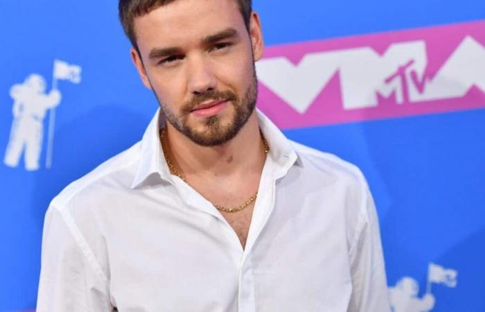 Here’s what you need to know about One Direction singer Liam Payne