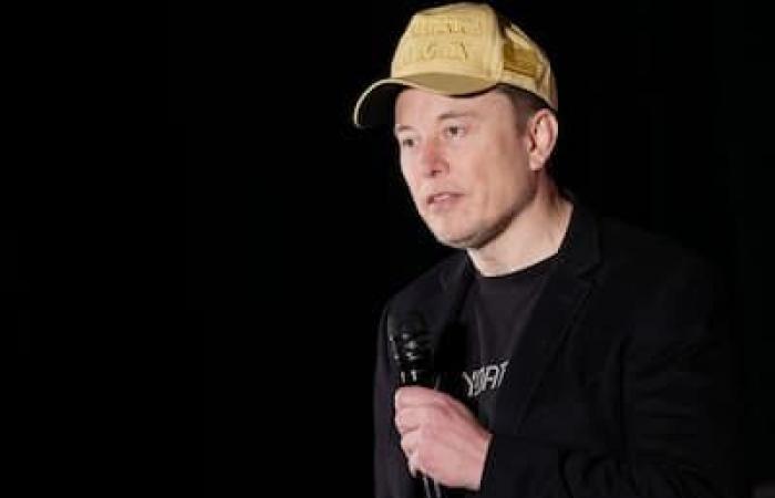 In Pennsylvania, Elon Musk holds public meetings to support Trump