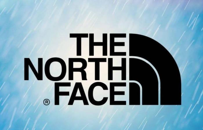 this The North Face parka is at a preferential price on this site