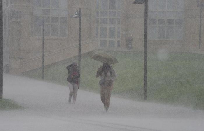 Storm alert this Thursday: Hérault goes into orange alert with heavy rain expected, the Cévennes episode is likely to be intense