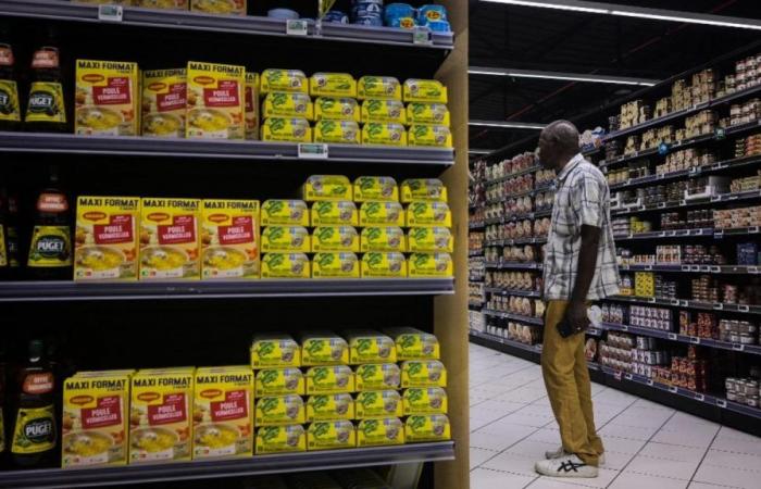 High cost of living in Martinique: the State agrees to lower the price of food by 20%, the mobilization continues