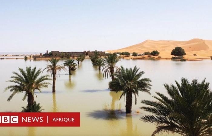 Sahara: images of rare floods in the desert which have not occurred for 50 years