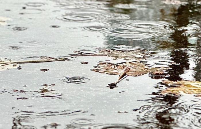 Thunderstorms, floods and floods: 13 departments now placed on orange vigilance this Thursday