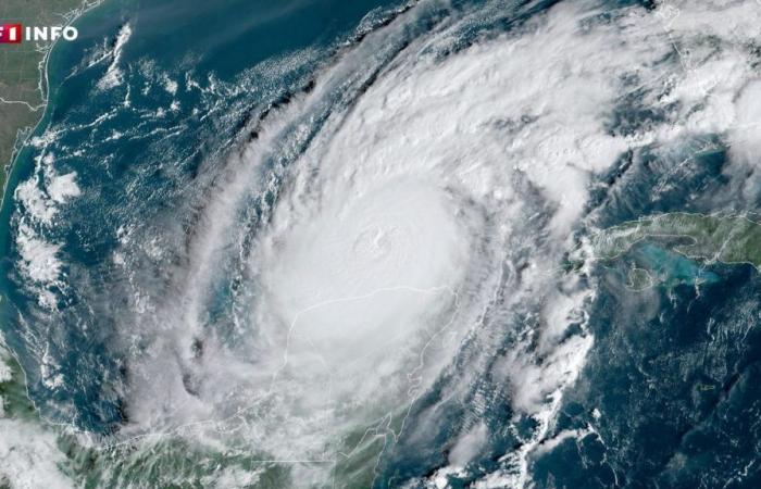 Why Hurricane Milton will (again) cause the price of oranges to soar