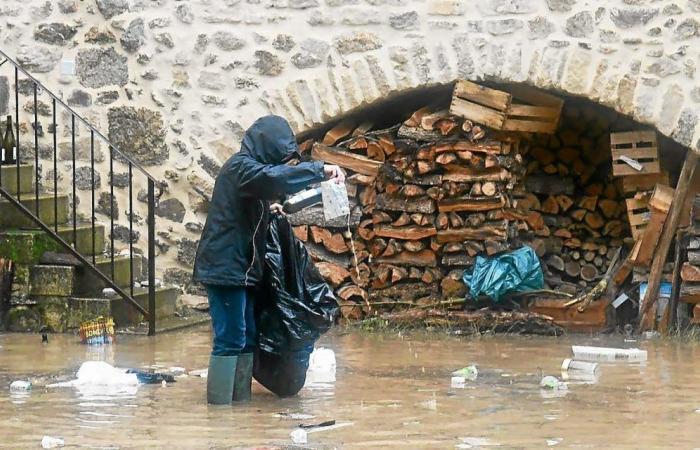 Cows and cars washed away, bridges destroyed, supermarkets under water: images of the floods in the south-east of France