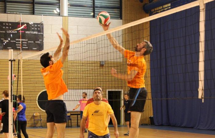 VOLLEY BALL: Framatome ahead of Alstom, Safranc and Industeel for the opening of the Inter-company Challenge