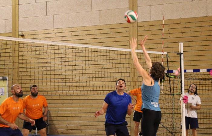 VOLLEY BALL: Framatome ahead of Alstom, Safranc and Industeel for the opening of the Inter-company Challenge