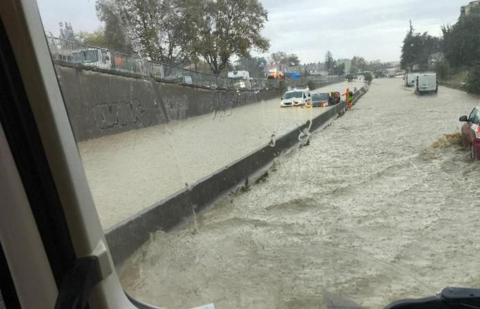 The Rhône on red “flood” alert, residents and schoolchildren evacuated, roads and railways cut