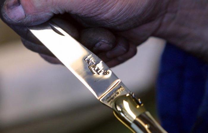 “It’s a relief…” finally a Geographical Indication for Laguiole knife manufacturers in Nord-Aveyron