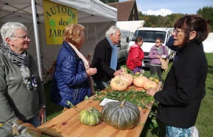 74 exhibitors, hiking and mountain biking… the autumn festival and the Rando Thi’Perche bring Thiron-Gardais to life on Sunday October 20