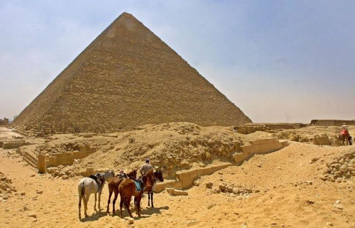 This dog is sunbathing at the top of the Cheops pyramid, the video is going viral