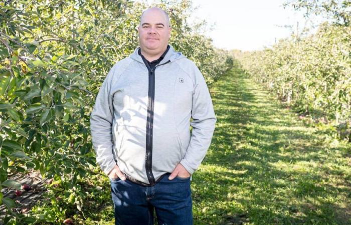 A genetically modified apple could be grown in Quebec, but apple growers don’t want it