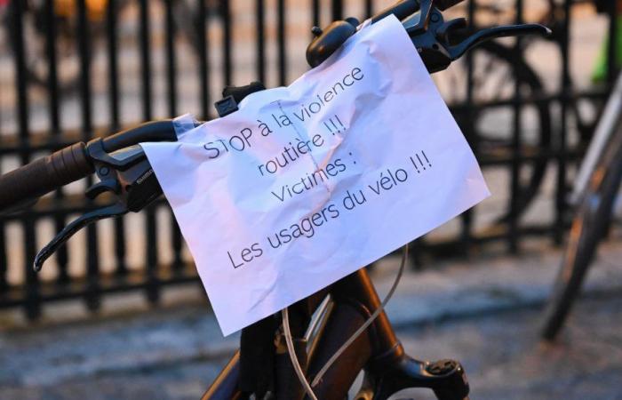 The mother of the cyclist killed by a motorist in Paris testifies: “No mitigating circumstances”