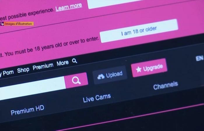 Tukif, Xhamster… justice orders the blocking of several pornographic sites in France