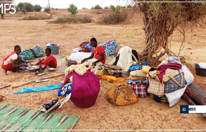 SENEGAL-CRUE-IMPACT / Floods in Bélli Diallo: affected populations in search of shelter – Senegalese press agency