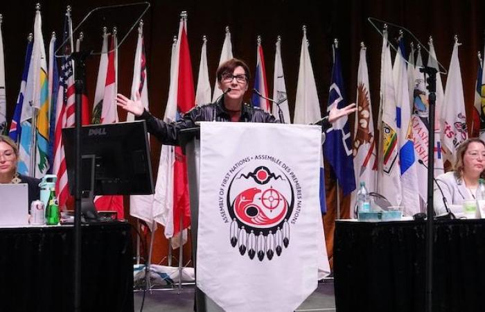 Child protection: AFN leaders vote against $47.8 billion deal | Child protection among Aboriginal people