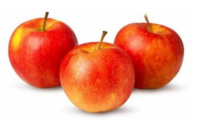 A genetically modified apple could be grown in Quebec, but apple growers don’t want it