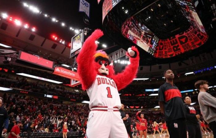 Chicago Bulls 125, Minnesota Timberwolves 123