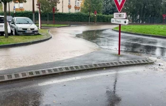 Flood, high water, the Loire goes into red alert