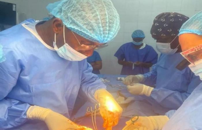 ORGAN DONATION, SENEGAL INTENSIFIES ITS EFFORTS FOR TRANSPLANTS