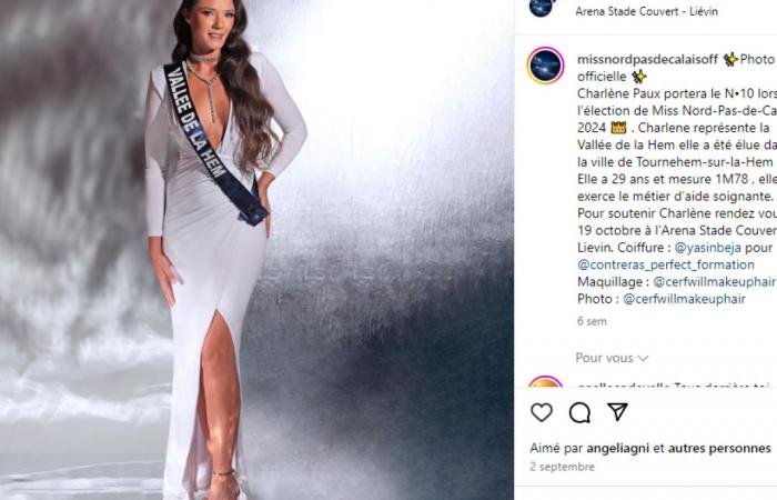 Miss Nord – Pas-de-Calais: who are the 17 misses competing to succeed Ève Gilles?