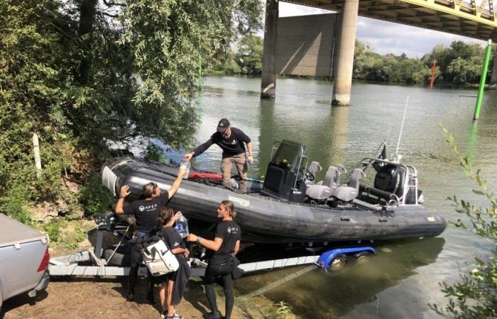 Sea Shepherd will carry out research to find the humpback whale in the Seine