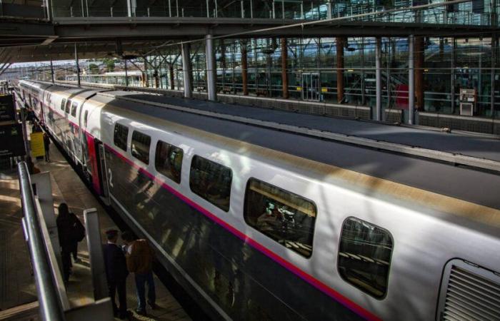 Why did the SNCF decide to close the Paris-Lyon TGV line for work, in the middle of the weekend of November 11? – Liberation