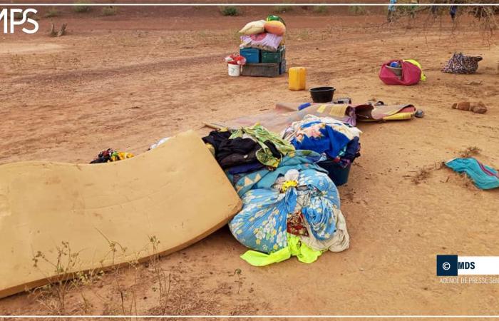 SENEGAL-CRUE-IMPACT / Floods in Bélli Diallo: affected populations in search of shelter – Senegalese press agency