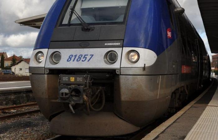 Weather alert: SNCF announces the cancellation of all TER trains this Thursday in Tarn