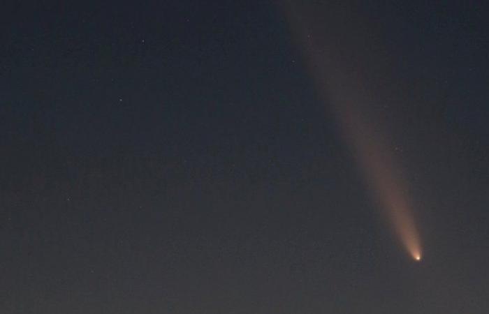 “The comet should still be visible for two weeks”, an astronomer from Lot gives his advice