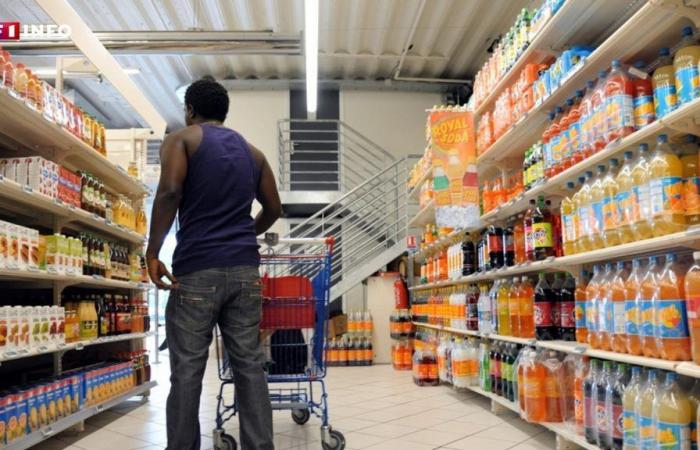 Martinique: the State agrees to reduce food prices by 20% but the mobilization continues