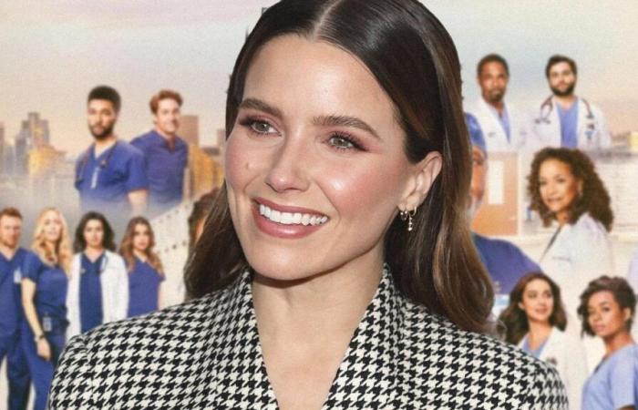 ‘Scott Brothers’ Sophia Bush to Star in ‘Grey’s Anatomy’