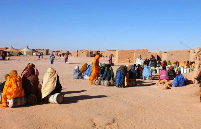 Hilal: The detainees in the Tindouf camps are victims whose childhood and youth were stolen by Algeria