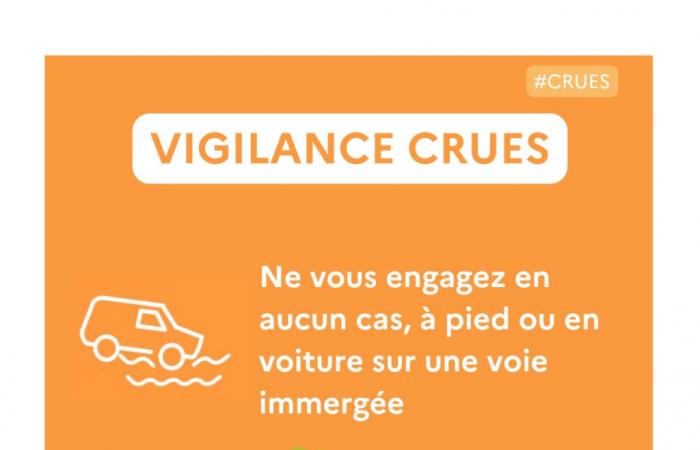 Orange level flood vigilance activation on the Rhône – October – 2024 – Press Releases – Press room – News